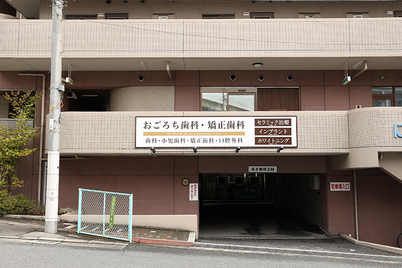 入口